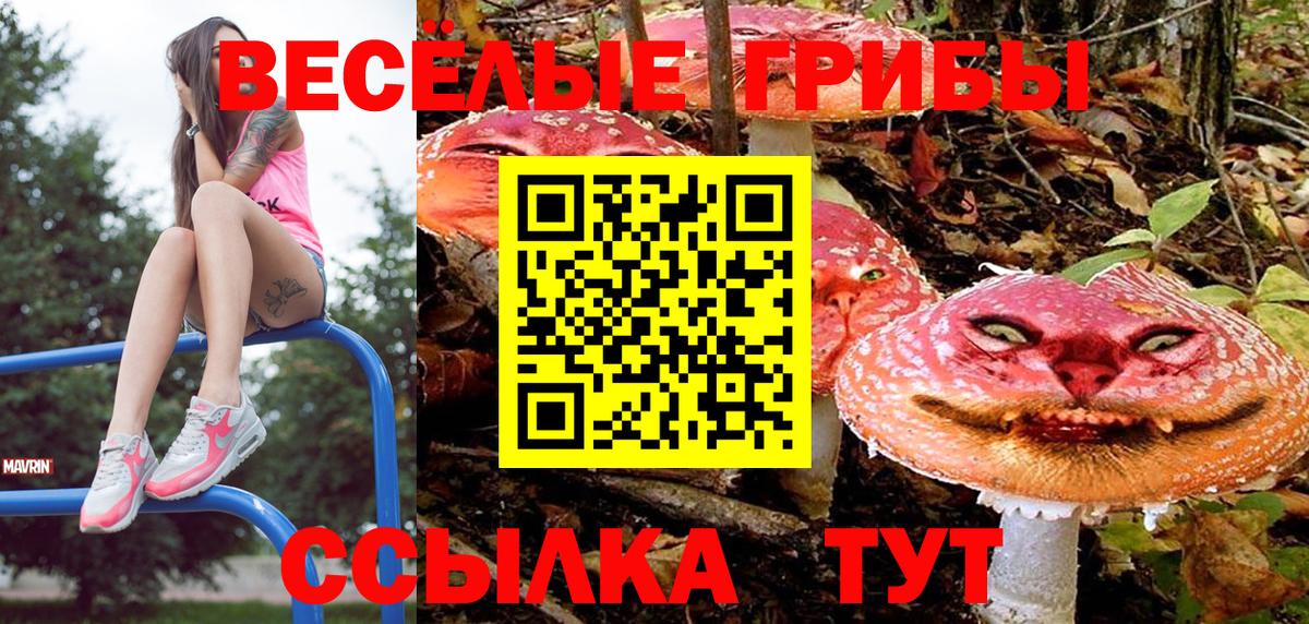 Галлюциногенные грибы мухоморы  Вход с VPN  Армавир  Псилоцибиновые грибы GOLDEN TEACHER 