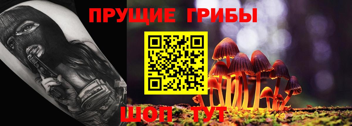 Галлюциногенные грибы Magic Shrooms Армавир